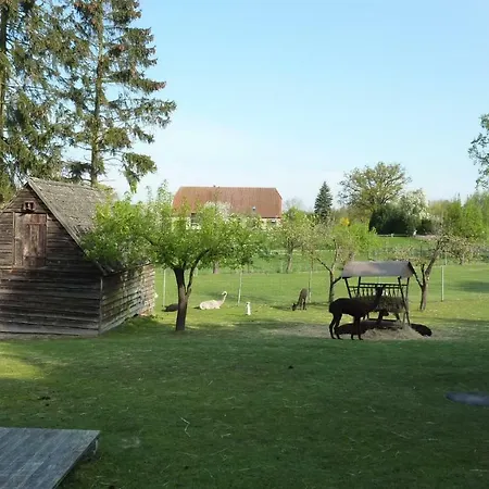 Alpakas Vom Schrödershof Schlackendorf