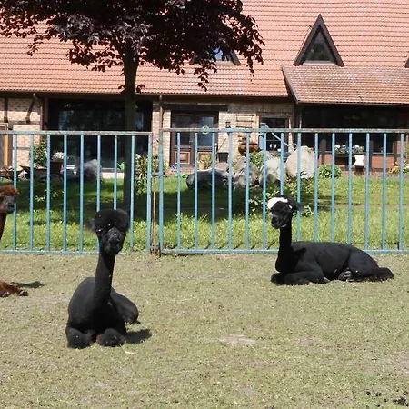 Апартаменты Alpakas Vom Schrodershof Schlackendorf