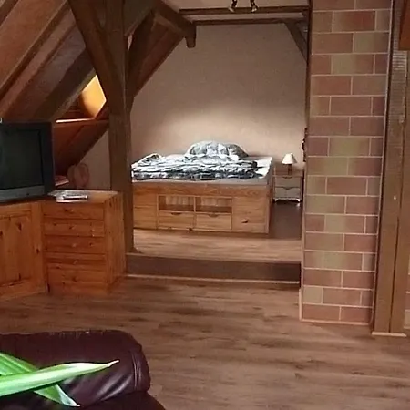 Alpakas Vom Schrödershof Schlackendorf