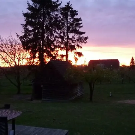 Alpakas Vom Schrödershof *