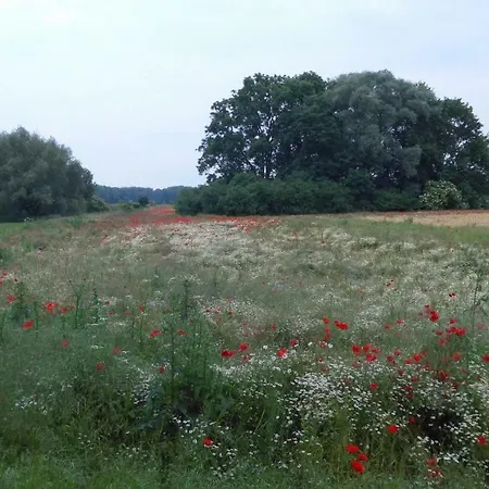 Апартаменты Alpakas Vom Schrodershof