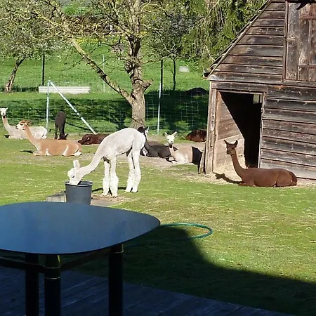Lägenhet Alpakas Vom Schrödershof