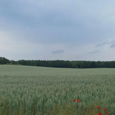 Alpakas Vom Schrödershof * Schlackendorf