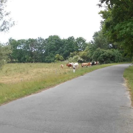 Alpakas Vom Schrödershof Lägenhet
