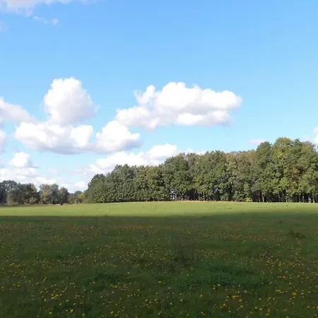 Alpakas Vom Schrodershof Апартаменты