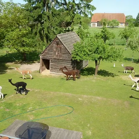 Alpakas Vom Schrödershof * Schlackendorf