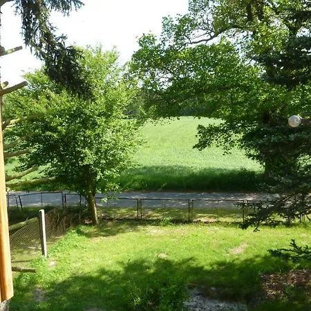 Alpakas Vom Schrödershof *