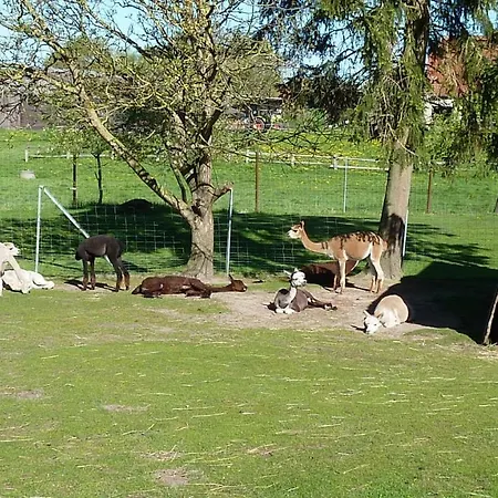 Alpakas Vom Schrodershof Апартаменты Schlackendorf